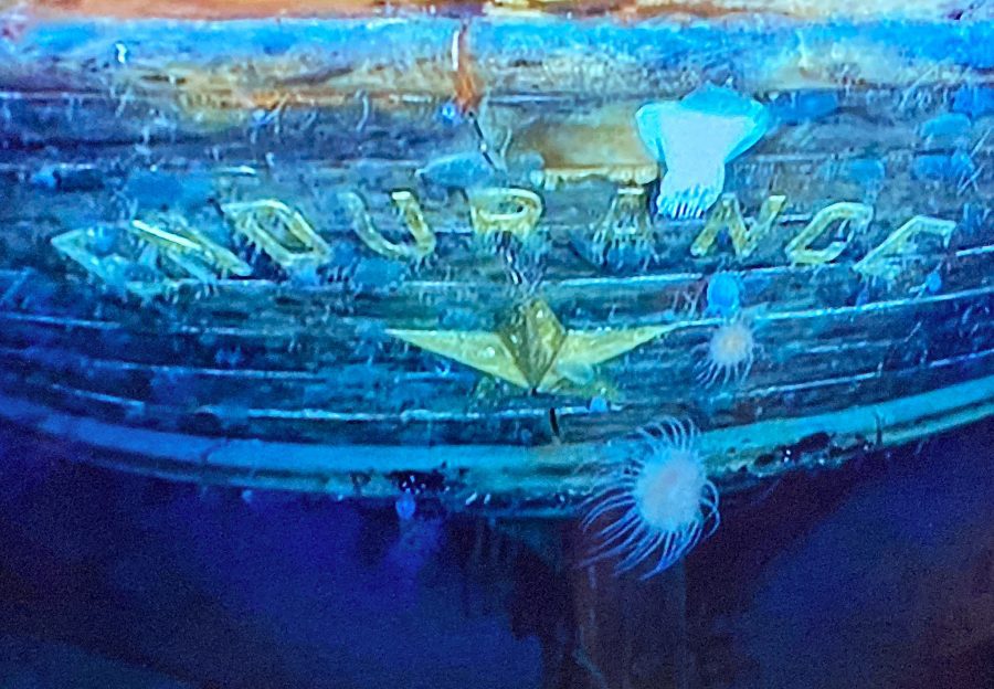 Endurance ship found